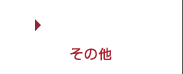 その他 - OTHER